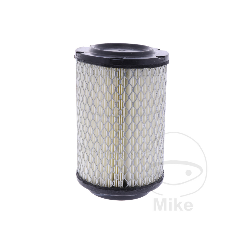 Air filter insert Himalayan/Scram411