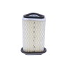 Air filter insert Interceptor/Continental