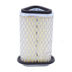 Air filter insert...