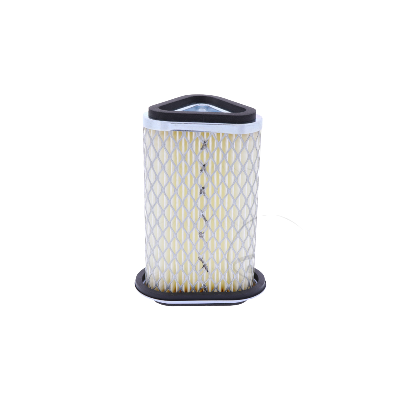 Luftfilter Interceptor/Continental GT 650