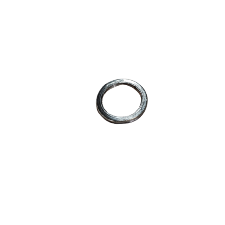 Exhaust Muffler Gasket from 2016