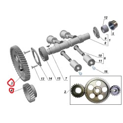 Driving timing gear set Herzog