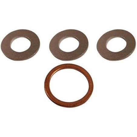 Drain Plug  Washer Set Himalayan/Scram411