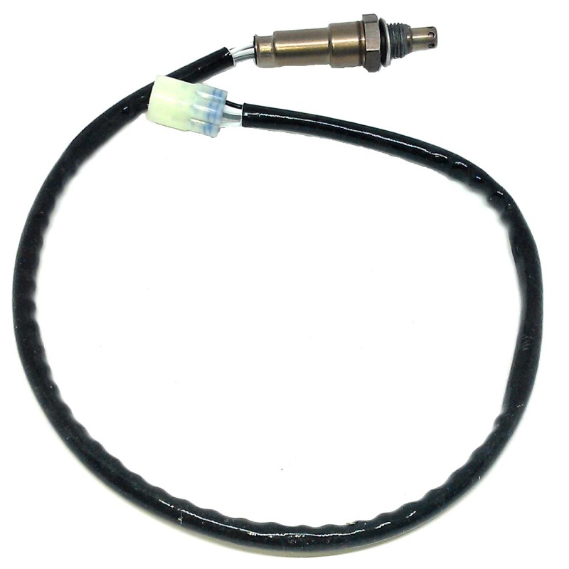 Oxygen sensor from 2019