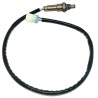 Oxygen sensor from 2019