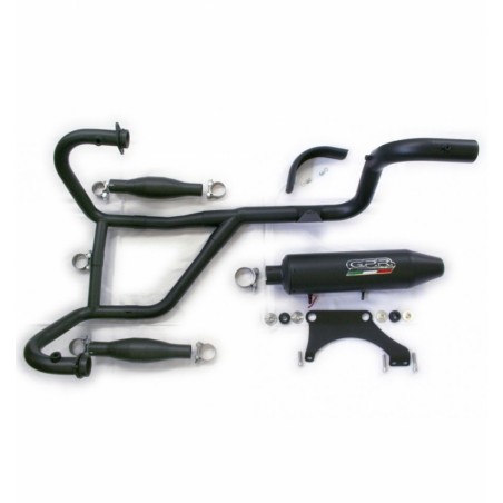 Exhaust system 2in1 black with cat