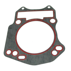 Cylinder barrel gasket...