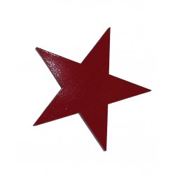 Roter Stern Logo