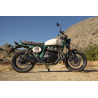 Bear 650 Two Four Nine