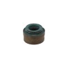Valve seal Ural from 2008