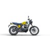 Bear 650 Wild Honey