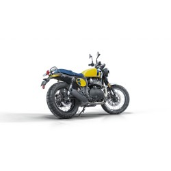 Bear 650 Wild Honey