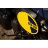 Bear 650 Wild Honey