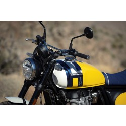 Bear 650 Wild Honey