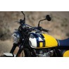 Bear 650 Wild Honey