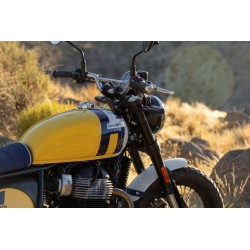 Bear 650 Wild Honey