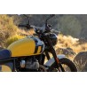 Bear 650 Wild Honey