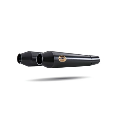 Exhaust ZARD Slip-on 2-2 Shotgun 650