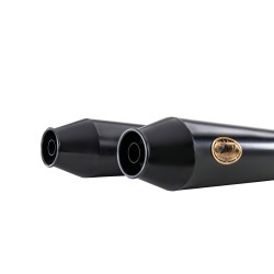 Exhaust ZARD Slip-on 2-2 Shotgun 650