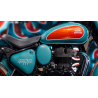 Classic Goan 350 Tip Teal Green