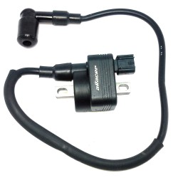 Ignition coil Ural from 2019