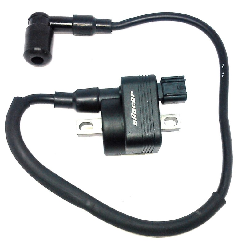 Ignition coil Ural from 2019