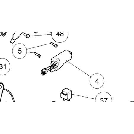Ignition coil Interceptor/Continental bis 12/2022