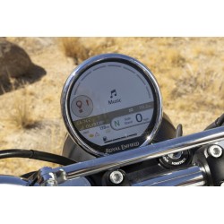 Bear 650 Broadwalk White