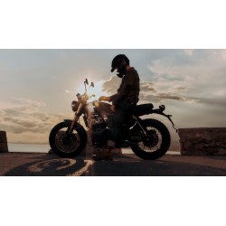 Bear 650 Broadwalk White