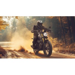 Bear 650 Broadwalk White