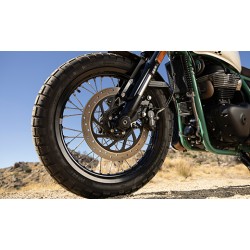 Bear 650 Broadwalk White