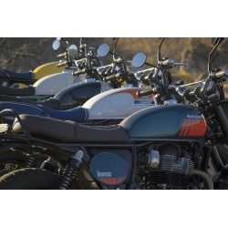 Bear 650 Broadwalk White