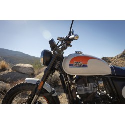 Bear 650 Broadwalk White