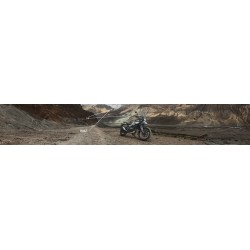 Himalayan 450 Mana Black Tubeless