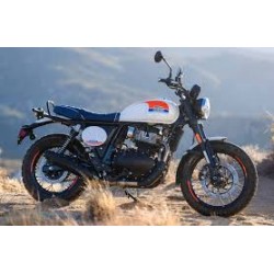 Bear 650 Broadwalk White