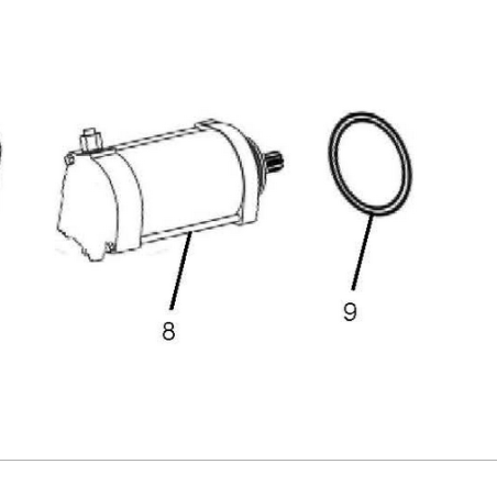 Starter Motor Himalayan/Scram 411