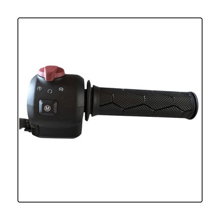 Switch module RH assy Guerrilla/Himalayan 450