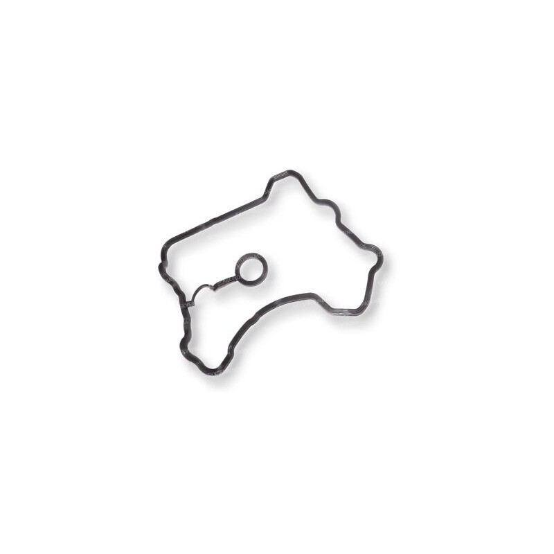 Valve cover gasket Himalayan/Guerilla 450