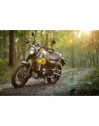 Scram 411 Accessories